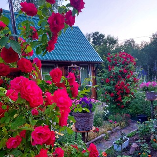 Логотип телеграм канала @larisa_sad — Дом, уют, сад, цветы