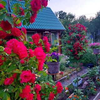 Логотип телеграм канала @larisa_sad123 — Дом, уют, сад, цветы 💐