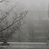 Логотип телеграм канала @lastfall44 — Прошлой осенью