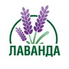 Логотип телеграм канала @lavandafarm — Питомник Лаванда