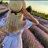 Logo of telegram channel lavandershop — _Lavender_shop_
