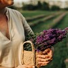 Логотип телеграм канала @lavender_coast — Цветочная ферма "Лавандовый берег"