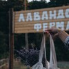 Логотип телеграм канала @lavenderfarmbel — Лавандовая ферма "Лаванда и ЛЕС"