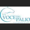 Telegram channel La Voce del Palio logo
