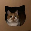 Логотип телеграм канала @lavochkinacats — ТРИ КОТА СНЯЛИ ТРЁШКУ В СТАЛИНКЕ