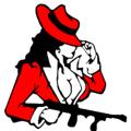 Logo saluran telegram lawlessgangster — Lawless Gangster: NEWS