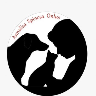 Logo del canale telegramma lazampa24 - Associazione Annalisa Spinosa