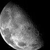 Логотип телеграм канала @lblackluna — черная луна.