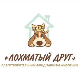 Логотип телеграм канала @ld_58 — БФ "Лохматый друг"