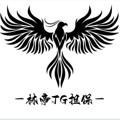 Logo saluran telegram ldlindi1 — 林帝TG担保公群