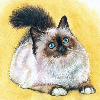 Логотип телеграм канала @leadsshop_vacancies — ЛАВКА С ЛИДАМИ | ВАКАНСИИ | LEADFIND