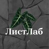 Логотип телеграм канала @leafslab — ЛистЛаб🌿