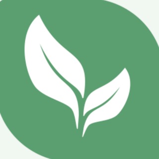 Logo of telegram channel leaftytoken — LEAFTY Token