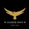 Telegram channel LeaKeR Hoo ☠ logo
