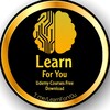 Logo of telegram channel learnfory0u — Udemy Courses - Learn For You