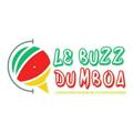 Logo de la chaîne télégraphique lebuzzdumboa - Le buzz du mboa 🇨🇲