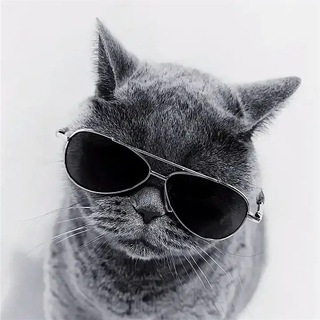 Логотип телеграм канала @lechatsavant — Le Chat Savant