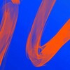 Логотип телеграм канала @legacyliife — LEGACY | цитаты