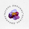 Логотип телеграм канала @legkoe_dixanie — Легкое дыхание