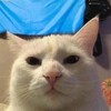 Логотип телеграм канала @legynsquad — 𝖽𝖺𝗇𝗄𝗈?