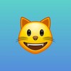 电报频道的标志 lemaovpn — 🐱乐猫VPN