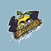 Логотип телеграм канала @lemon_stadium — LEMON STADIUM