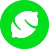 Logo of telegram channel lemonapp_news — Lemon News
