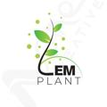 የቴሌግራም ቻናል አርማ lemplant — ለም ፕላንት Lem plant