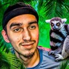 Logo of telegram channel lemurfifa — LEMUR FC🤬😱🤯