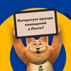Логотип телеграм канала @lentaarenda — ТГ-канал Лента Арендаторам
