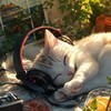 Логотип телеграм канала @lentar_777 — Lentar ❤️