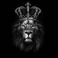 Telegram channel Leo Apuestas 🌎🥇 logo