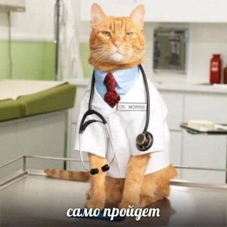 Логотип телеграм канала @leopold_vihodi — Мэмотерапия🌿