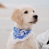 Логотип телеграм канала @leoretriver — Приключения щенка Лео