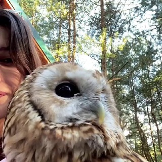 Логотип телеграм канала @lerok_telegram — Лер☀️к