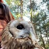 Логотип телеграм канала @lerok_telegram — Лер☀️к