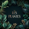Logo de la chaîne télégraphique les_plantes - 𝕃𝔼𝕊 ℙ𝕃𝔸ℕ𝕋𝔼𝕊