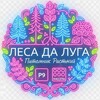 Логотип телеграм канала @lesadaluga — Питомник растений «Леса да Луга» | Опт и Розница по РФ