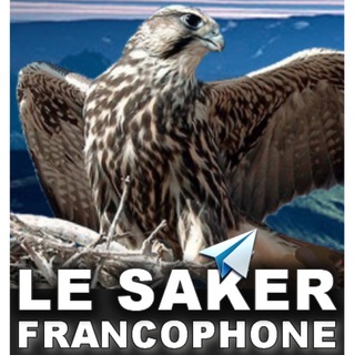 Logo de la chaîne télégraphique lesakerfrancophone - Le Saker Francophone