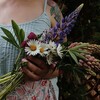 Логотип телеграм канала @lesatropi — 🌿Лесными Тропами🌿