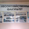 Логотип телеграм канала @lesfaknimi — Лесохозяйственный факультет НИМИ Донской ГАУ