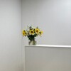 Логотип телеграм канала @lesfleursetlamusique — Les fleurs et la musique