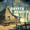 Логотип телеграм канала @leshiy_house — 🌿 Лачуга ЛЕШЕГО 🌿