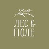 Логотип телеграм канала @lesipole_masterskaya — Мастерская «Лес и Поле», канал