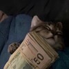 Логотип телеграм канала @leslylife — Йо́мен Лайф