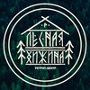 Логотип телеграм канала @lesnaya_hizhina — Ретрит-центр l Лесная Хижина