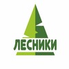 Логотип телеграм канала @lesniki_ekspress — Лесники-экспресс
