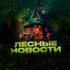 Логотип телеграм канала @lesnoeoblovlenie — 🆕 | Update Лесной Лавки