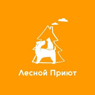 Логотип телеграм канала @lesnoj_prijut — Лесной приют