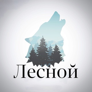 Логотип телеграм канала @lesnoy_ch — Лесной